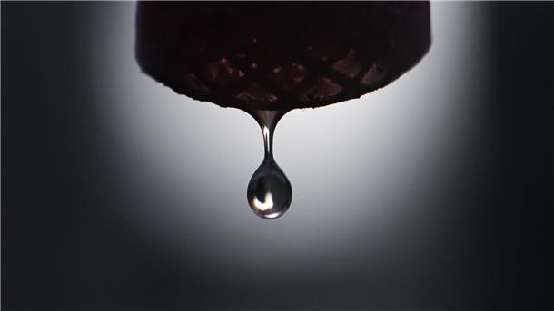 WWF: Wassermangel in Europa durch Missmanagement verursacht „Die EU muss eine zukunftsfähige Wasser- und Klimaanpassungsagenda vorantreiben.“