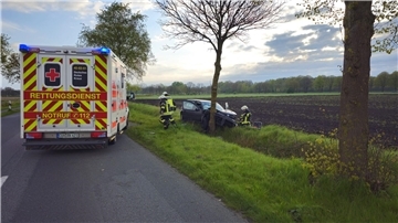 Die Fahrt des 20-Jährigen endete an einem Baum am Straßenrand.