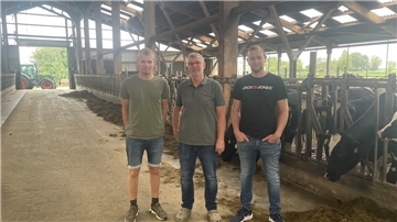 Drei Landwirte im Stall