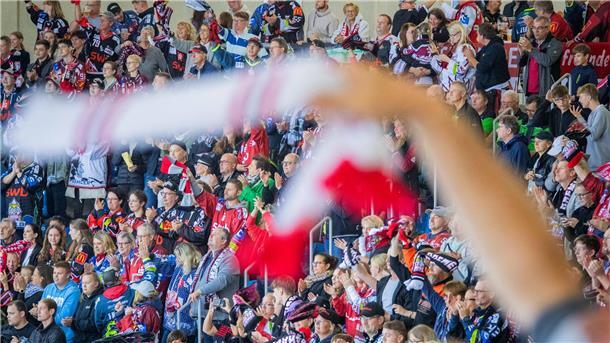 Pinguins fegen die Schwenninger Wild Wings aus der Halle Die Fans der Fischtown Pinguins durften sechs Tore bejubeln.