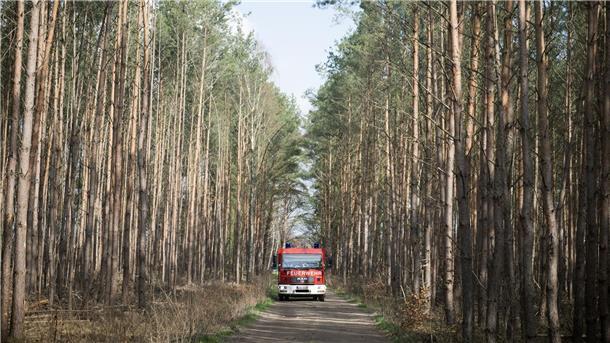 Die Feuerwehr auf dem Weg zum brennenden Strommast.