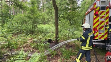 Die Feuerwehr löscht die kleine Brandstelle im Großen Holz.