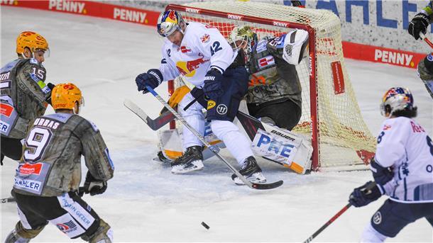 Die Fischtown Pinguins duellieren sich wieder mit Red Bull München.