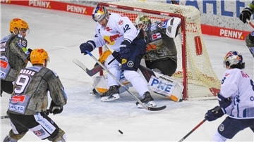 Die Fischtown Pinguins duellieren sich wieder mit Red Bull München.