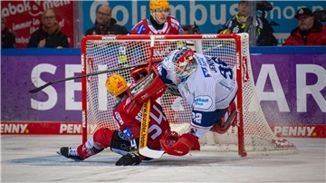 Eishockeyspieler im Zweikampf