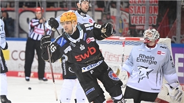 Die Fischtown Pinguins schreiben in den letzten Jahren Geschichte und machen beste Werbung für die Stadt Bremerhaven - dennoch gibt es bald wohl weniger Geld für den Eishockey-Erstligisten.