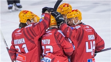 Die Fischtown Pinguins spielen die historisch beste Saison in der Deutschen Eishockey-Liga - und die erneute Teilnahme an der Champions Hockey League winkt.