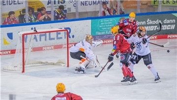 Die Fischtown Pinguins überzeugten gegen Wolfsburg.
