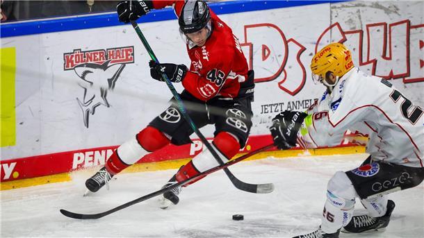 Die Fischtown Pinguins und die Kölner Haie lieferten sich einen harten Kampf.