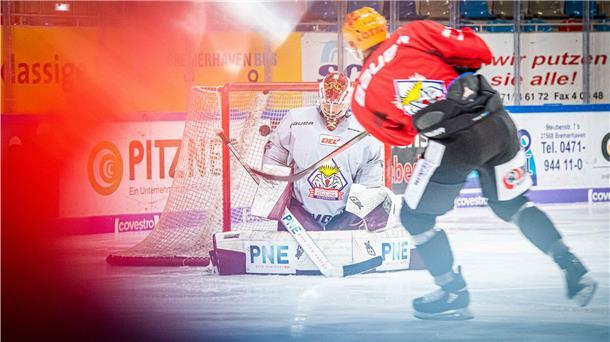Die Fischtown Pinguins verpflichten den Letten Kristers Guldevskis als neuen Torwart für ihr Team.