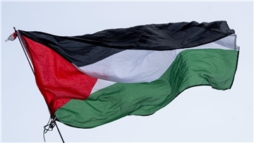 Die Flagge von Palästina wird bei einer propalästinensischen Kundgebung geschwenkt. Bei derartigen Kundgebungen kam es vor allem in den ersten Wochen nach dem Massaker immer wieder zu Zusammenstößen mit der Polizei.