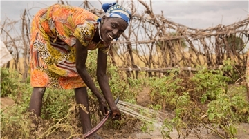 Die Förderung der Landwirtschaft und landwirtschaftlicher Qualifikationen sowie weiterer Berufsausbildungen ist ein zentrales Anliegen der Welthungerhilfe im Kampf gegen den Hunger.