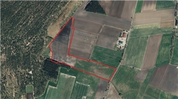 Die für den Solarpark vorgesehene Fläche ist rot umrandet. 