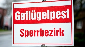 Die für Vögel hochansteckende Vogelgrippe vom Subtyp H5 hat sich im vergangenen Jahr von den Niederlanden nach Deutschland ausgebreitet. Vorher wurden Fälle in Russland, Kasachstan und Israel bekannt. Im Landkreis Cuxhaven ist sie ebenfalls angekommen.