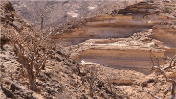 Die Gebirge im Oman ziehen viele Wander-Touristen an