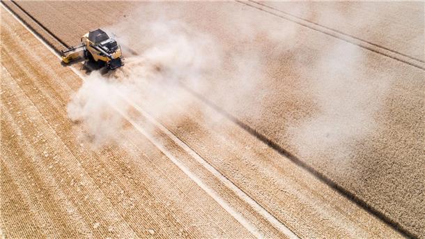 Die Gemeinsame Agrarpolitik (GAP) soll die Landwirtschaft in Europa ökologischer und nachhaltiger machen –  auch in Niedersachsen. (Archivbild)