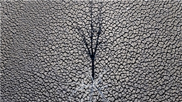 Die globalen Temperaturen steigen weiter an.