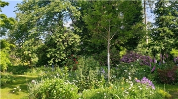 Die Gräser auf der Wiese im Garten Wilhelm dürfen ausblühen, bevor diese Ende Juni gemäht wird.