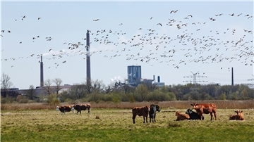 Die groß angelegte Umweltstudie zur Schwermetallbelastung im Stadtteil Friedrich-August-Hütte und darüber hinaus wird sich auch mit den Problemen der Landwirtschaft befassen.