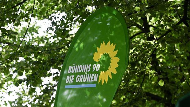 Auch Grüne-Jugend-Spitze in Niedersachsen verlässt Partei Die Grünen verlieren auch in Niedersachsen wichtige Nachwuchskräfte. (Symbolbild)