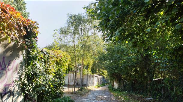 Die Grünen wollen genau beleuchten, wie es zu den Kita-Plänen an der Leher Weichselstraße gekommen ist, und wieso der Investor so früh feststand