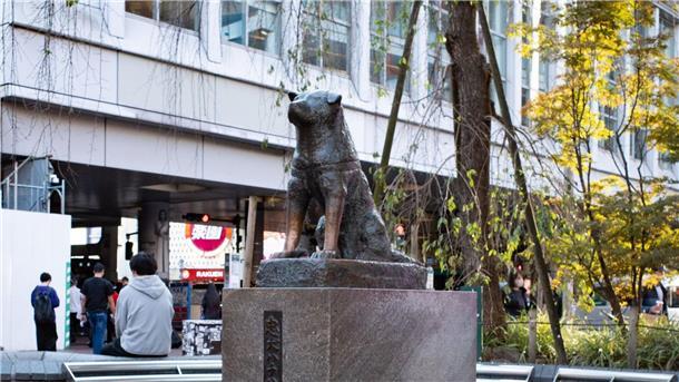 Die Hachiko-Statue am Bahnhof Shibuya in Japans Hauptstadt Tokio.