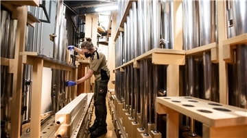Hendrik Dünnebacke, Auszubildender im Orgelbau, setzt einzelne Flöten nach der Reinigung in die Orgel in der Elbphilharmonie. 