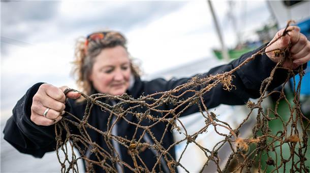 Verlorene Netze geistern durch die Nordsee Die Helferin kontrolliert, ob sich Tiere in dem Netz verfangen haben.