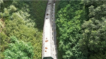 Die Hermann-Hesse-Bahn bei Calw ist ein jüngeres Beispiel für die Reaktivierung alter Bahntrassen. (Archivfoto)