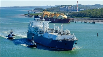 Die Hoegh Esperanza vor der Küste.