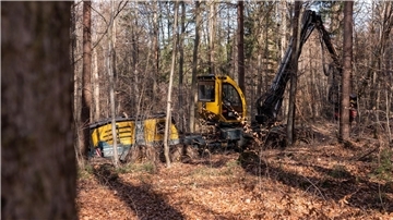 Verband: Bewirtschaftete Wälder sind gut für Umwelt Die Holzernte im Wald sei laut der Deutschen Forstwirtschaft gut für die Umwelt.