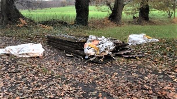 Die im Wald entdeckten Dachplatten sind mit Asbest belastet.