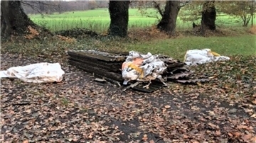 Die im Wald entdeckten Dachplatten sind mit Asbest belastet.