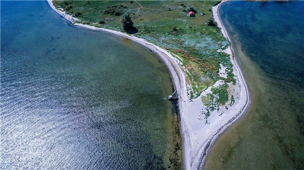 Die Insel Walfisch ist mit knapp neun Hektar die kleinste der drei Vogelschutzinseln in der Wismarbucht.