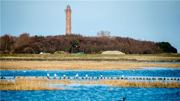 Norderney wird für weitere Stromkabel unterbohrt Die Kabel der Netzanbindungssysteme BalWin1 und BalWin2 verlaufen unter der Insel Norderney hindurch. (Archivbild)