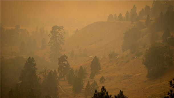 Die kanadische Provinz British Columbia ist durch heftige Waldbrände in dicken Rauch gehüllt.