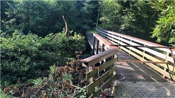 Die kleine Fußgänger- und Fahrradbrücke im Auepark wurde vor gut fünf Wochen von einer umgestürzten Weide beschädigt und ist seitdem gesperrt. 