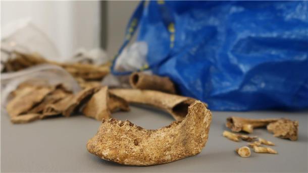 Kurioser Knochenfund - Fragmente in Einkaufstasche Die Knochen sind die sterblichen Überreste eines Menschen, der offenbar vor rund 1.500 Jahren lebte.