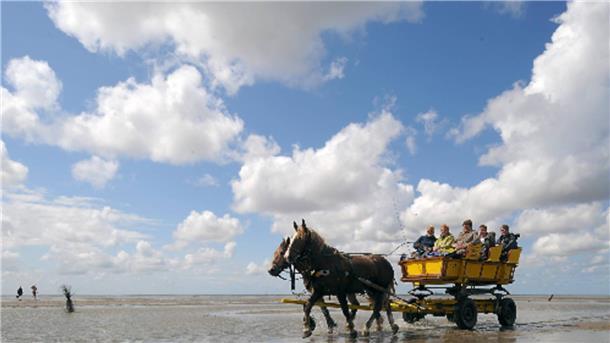 Die Kutschfahrt zwischen Neuwerk und Cuxhaven gehört zu den touristischen Höhepunkten in der Region.