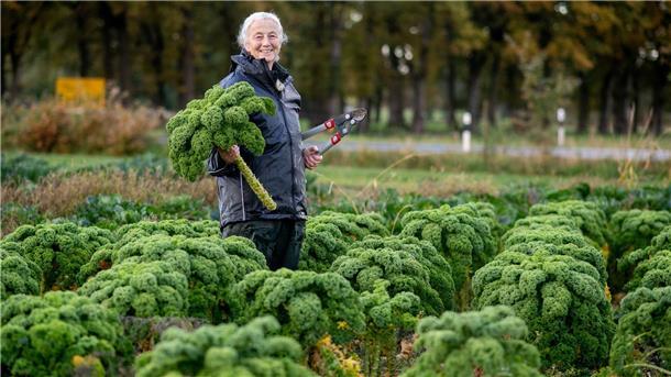 Die Landwirte rechnen mit weniger Ertrag als noch im Vorjahr.