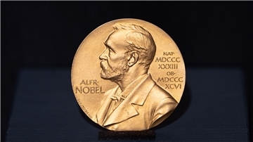 Die Literatur-Nobelpreis-Medaille ist im Günter Grass-Haus ausgestellt. (Archivbild)