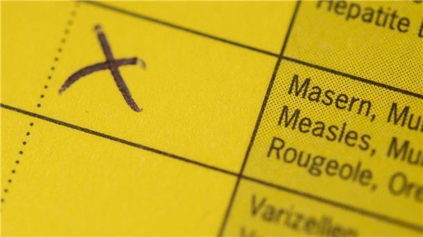 13 Masernfälle in Niedersachsen seit Jahresbeginn bekannt Die Masern-Impfung ist in einem Impfpass angekreuzt.