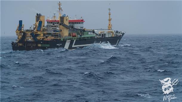 Die Meeresschützer dokumentieren, was der Supertrawler macht.