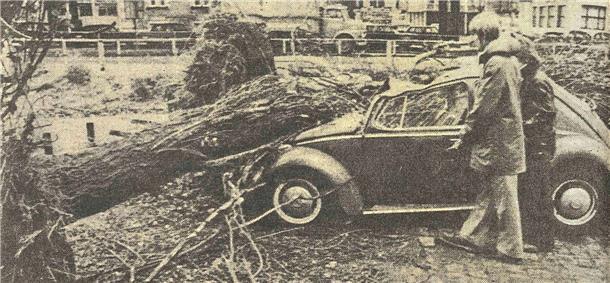 Die meisten Bäume, die Quimburga im Weg standen, legte der Orkan um. So wie auf dem Foto in Bremen. Ein Autofahrer wurde in der Hansestadt erschlagen. 