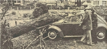 Die meisten Bäume, die Quimburga im Weg standen, legte der Orkan um. So wie auf dem Foto in Bremen. Ein Autofahrer wurde in der Hansestadt erschlagen. 