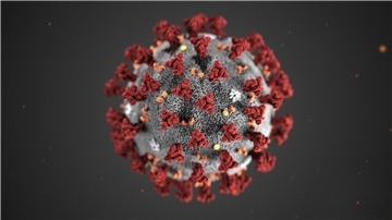 Die mobilen Impfteams des Landkreises bieten weitere dezentrale Impftermine gegen das Coronavirus an (Symbolfoto).