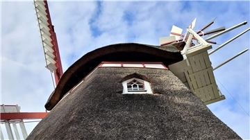 Mühle in Bad Bederkesa