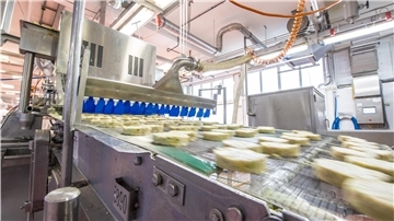 Die Nachfrage nach Fisch-Fertigprodukten ist noch immer groß, das Foto zeigt die Produktion der „Küstenfrikadelle“ bei Frosta.