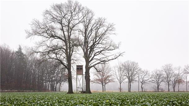 Landesjägerschaft hält im Streit um Jagdgesetz an Demo fest Die niedersächsische Jägerschaft will das bestehende Jagdrecht beibehalten. (Symbolbild)