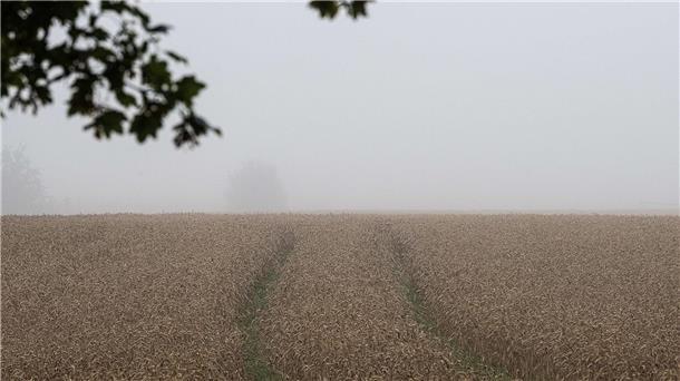 Die niedersächsischen Landwirte befürchten schlechte Erträge bei der Ernte. (Archivfoto)